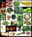 Survival Seeds Non-hybrid 27 Varieties of Survival Vegetable Seeds Heirloom Seeds Non GMO Survival Seeds