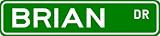 BRIAN Street Name Sign ~ Family Lastname Sign ~ Gameroom, Basement, Garage Sign