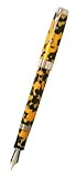 Conway Stewart Sterling Silver Duro Fountain Pen Honey Noire Italic