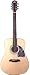 Washburn OG2N Oscar Schmidt Dreadnought Acoustic Guitar - Natural