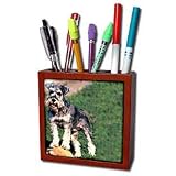 Dogs Schnauzer - Schnauzer - Tile Pen Holders-5 inch tile pen holder