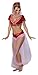 I Dream Of Jeannie Secret Wishes Costume
