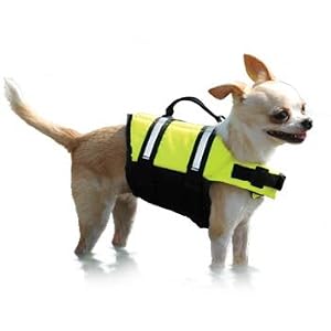 Paws Aboard Doggy Life Jacket - XXS