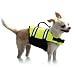 Paws Aboard Doggy Life Jacket - XXS