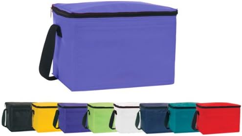 Ensign Peak Insulated Cooler Bag
