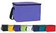 Ensign Peak Insulated Cooler Bag