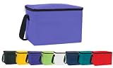 Ensign Peak Insulated Cooler Bag
