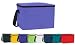 Ensign Peak Insulated Cooler Bag
