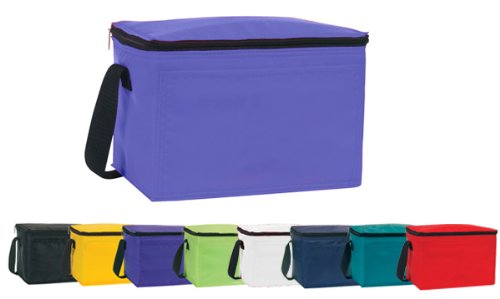 Ensign Peak Insulated Cooler Bag