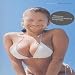 Windowlicker [VHS]