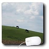 Beverly Turner Photography - Cows Grazing down a Green Hill - Mouse Pads