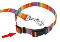 Hi-Craft Paparazzi Brighton Rock Dog Collar - 35-45cms Medium