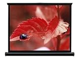 Pico Genie Portable Mini Screen (40 Screen)