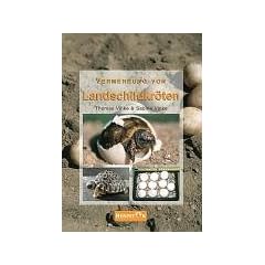 Vermehrung von Landschildkr�ten: Grundlagen, Anleitungen und Erfahrungen zur erfolgreichen Zucht