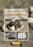 Vermehrung von Landschildkr�ten: Grundlagen, Anleitungen und Erfahrungen zur erfolgreichen Zucht