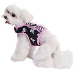 skull dog harness