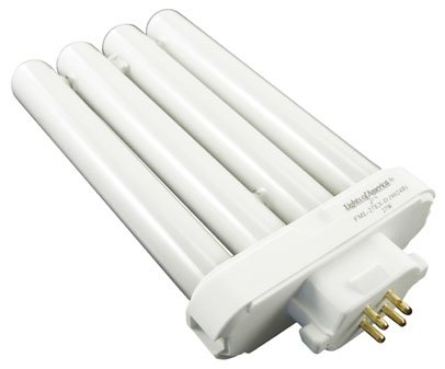 Childrens Toyshop  Tools & Hardware : Lights of America 9024B Fluorescent Linear Quad Bulb