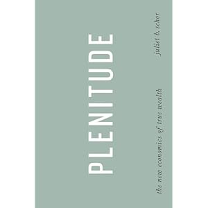 Plenitude  The New Economics of True Wealth