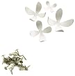 Umbra Set of 25 Wallflowers, White
