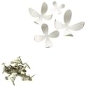Umbra Set of 25 Wallflowers, White