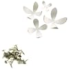 Umbra Set of 25 Wallflowers, White