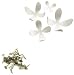 Umbra Set of 25 Wallflowers, White