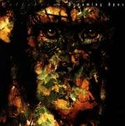 Wolfsheim - Dreaming Apes - Zortam Music