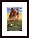 Lassie, Art Poster with Wood Frame, poster size: 11