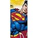 Search : Superman Returns Table Cover