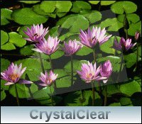 CrystalClear-Displayschutzfolie Navigon 7310 (6 Stück)