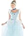 Sexy Adult Womens Costume Disney Cinderella Outfit L Womens US Large (12-14)