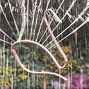 Copper Swan Artful Shower