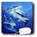 Steve Shachter Art - OPEN WATER SHARKS - Mouse Pads