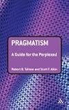 Pragmatism: A Guide for the Perplexed (Guides for the Perplexed): A Guide for the Perplexed (Guides for the Perplexed)