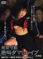 発禁寸前 絶叫ダマしレイプ 長谷川めい・浅見怜・平井まりあ・木原りんご [DVD]