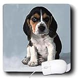 Dogs Beagle - Beagle Pup - Mouse Pads