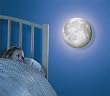 2056 Moon In My Room