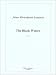 Jaime M. Zenamon: The Black Widow (Edition Margaux) (German Edition)