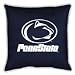 Penn State Nittany Lions Sideline Pillow (18x18) NCAA