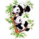 Panda Bears... Youth Sweatshirt