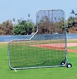 PROFESSIONAL L-SCREEN