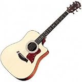 310CE Acoustic Electric Guitar Sapele Sapele - B000B6AGFW