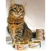 Wysong Beef Stew in Gravy - 24 x 5.5 oz