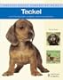 Teckel. Nuevas guias perros de raza (Nuevas Guias: Perros De Raza / New Guides: Dog Breeds) (Spanish Edition)