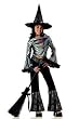 Hip Witch Costume Fun and sparkly and Includes Hat Too (Sorry you have to find your own witch broom for transportation!)
