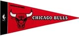 Chicago Bulls NBA Mini Pennants - 8 Piece Set
