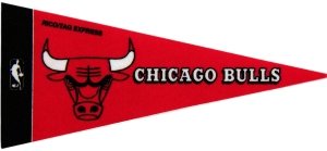 Chicago Bulls NBA Mini Pennants - 8 Piece Set