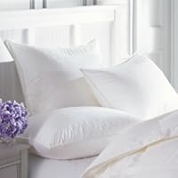 Downright Sierra 20 x 26 Standard Pillow, Firm
