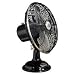Tools & Hardware : Hunter 90022 Century 12-Inch Performance Oscillating Fan