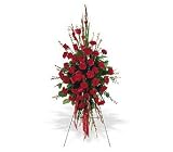 Teleflora's Red Regards Spray